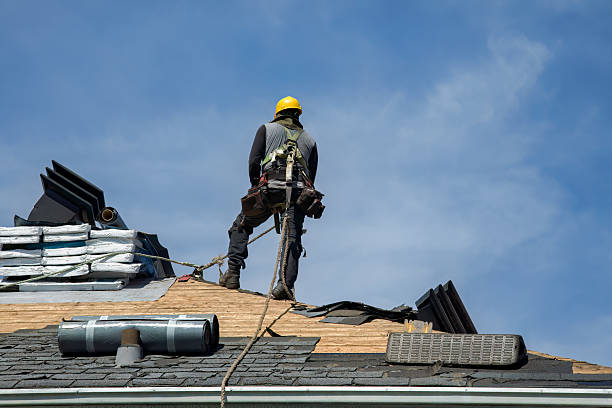 Professional Roof Repair technician working in Brooker, FL